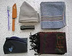 Approximate variant of the contents of the backpack