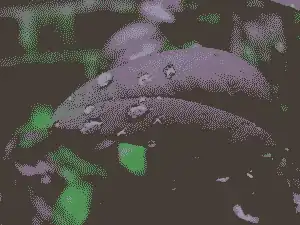 '"`UNIQ--postMath-00000004-QINU`"' colors 6 KB (-94%)