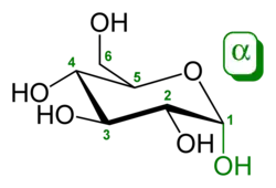 α-D- glucopyranose