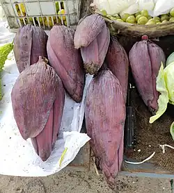 Whole banana flowers for sale