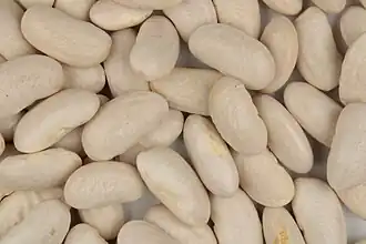 Cannellini beans