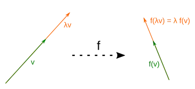 Linear maps preserve scalings.