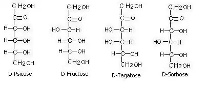 Examples of Ketohexose