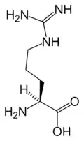 L-Arginine (Arg&nbsp;/&nbsp;R)