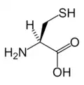 L-Cysteine (Cys&nbsp;/&nbsp;C)