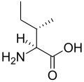 L-Isoleucine (Ile&nbsp;/&nbsp;I)