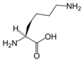 L-Lysine (Lys&nbsp;/&nbsp;K)