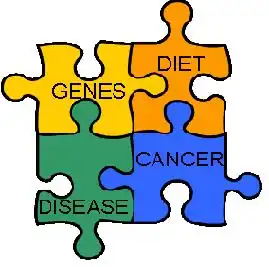 Putting the Pieces Together