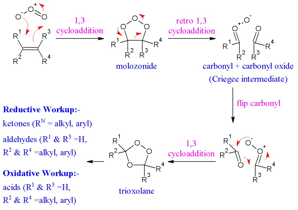 The reaction mechanism of ozonolysis.
