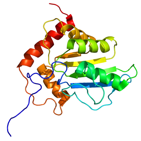 Protein APOBEC3G PDB 2JYW
