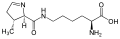 L-Pyrrolysine (Pyl&nbsp;/&nbsp;O)