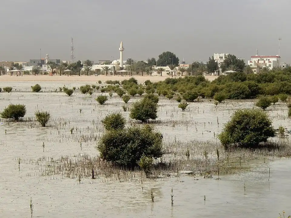 View over Simaisma and its coastline, with mangroves