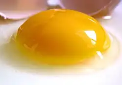 Yellow Egg Yolk