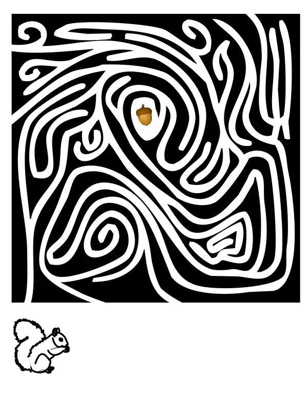 Squirrel's maze