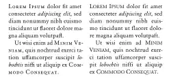 Two columns of sample "Lorem Ipsum" text, the left formatted slightly differently than the right.