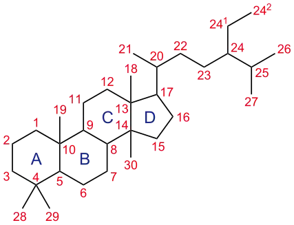 Trimethyl steroid-nomenclature