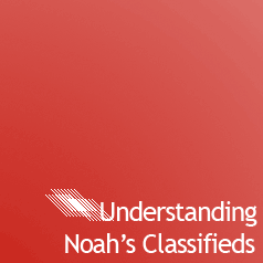 Understanding Noah's Classifieds cover