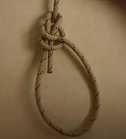 Complete the knot in the manner of the bowline (around the standing part and back down through the loops)