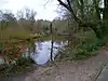 Miller's Pond