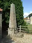 Pump and milestone