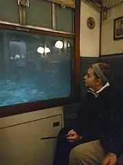 Inside a 1950s-style train compartment.  On the left is a window with a projected blue-green image behind it.  On the right is a person watching the projection through the window.  The compartment lights and sliding door are partially reflected in the glass.