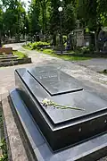 Writer's grave at the Lychakiv Cemetery