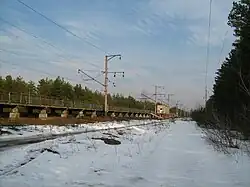 Poselok Lesnoi station, near Slavutych