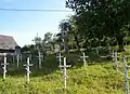 A graveyard of Sich Riflemen soldiers near Ternopil. The song was written in their honor.