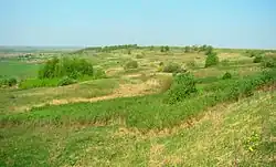Steppe landscape in Pochinkovsky District