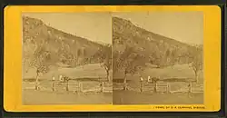 Rattlesnake Mountain