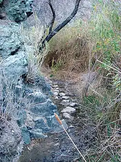 The creek and plutonic rock in Darwin Canyon make the trail tight; the mud can make things slippery.