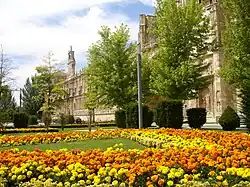 Gardens of Plaza de San Marcos