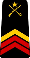 Caporal-chef (Gabonese Army)[11]
