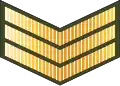 Sarjan (Royal Brunei Land Force)[48]