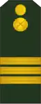 Sergent (Moldovan Ground Forces)[78]