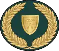 Warrant officer class 2 (Gambian National Army)