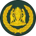 Warrant officer class 2 (Swahili: Afisa Mteule Daraja la Pili) (Tanzanian Army)