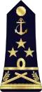 Vice-amiral (Madagascar Navy)[36]
