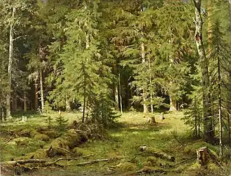 Forest, 1895