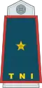 Brigadier General