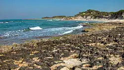 The State Natural Preserve of Torre Guaceto