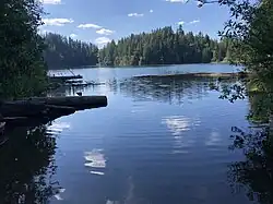 View of a lake from the shoreline