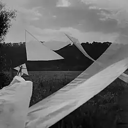 Action Arrow, organtine 50x1 m, 1976