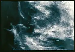 From the cysle Natural Structures I (2001)