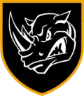 First shoulder sleeve insignia