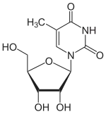 Skeletal formula of 5-methyluridine