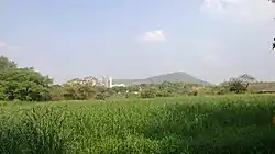 Skyscrapers at the edge of Aarey Colony