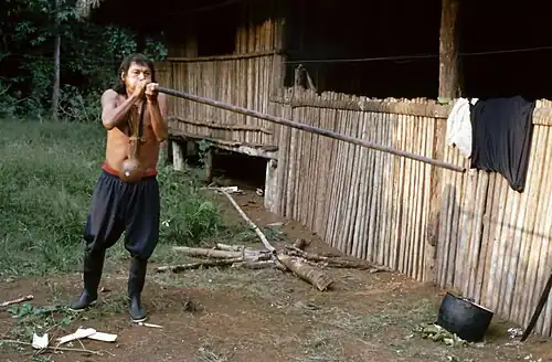 An Achuar man with a blowgun, Ecuador