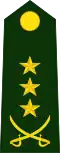 Colonel