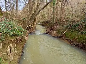 Natural log jam on the river destroyed by the February 2021 flood.